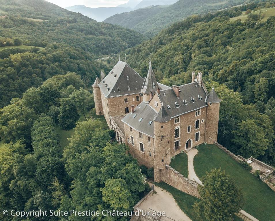 un vieux château au milieu d'une forêt dans l'établissement Suite Prestige Château Uriage - Escapade romantique, à Saint-Martin-dʼUriage