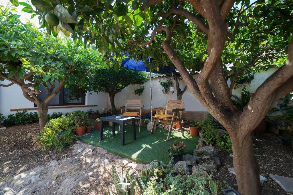 B&B Le Saline - Double Room With Patio