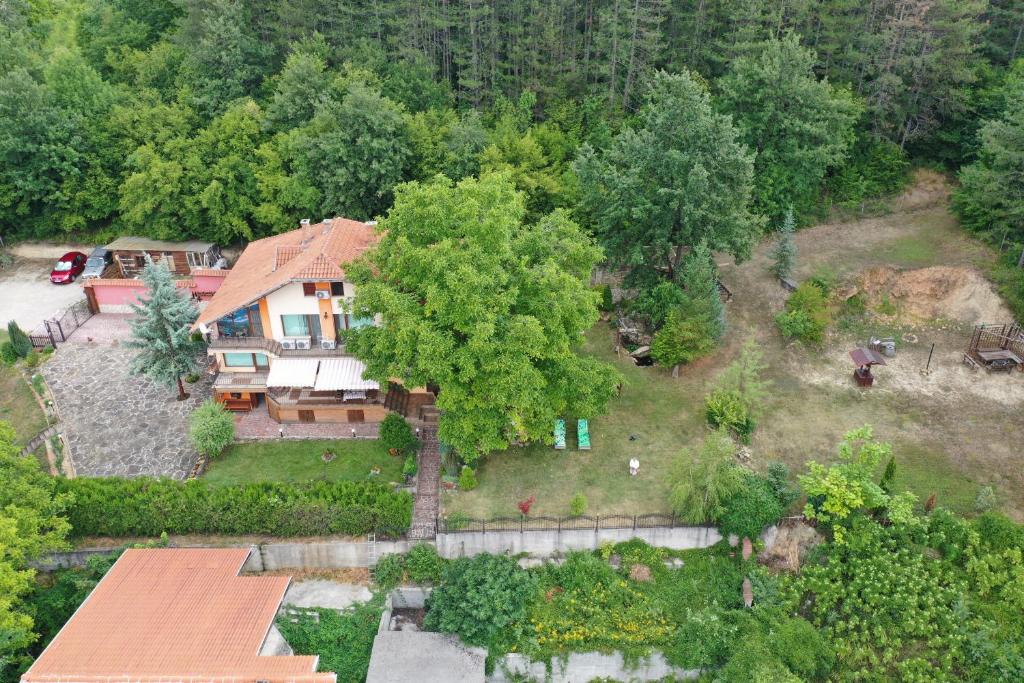 an aerial view of a house with a tree at Guest House Slivek in Slivek