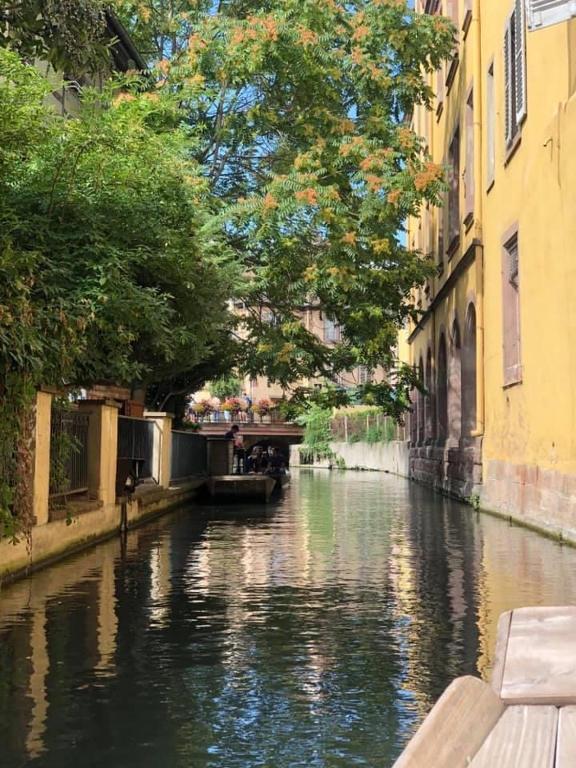 Coeur Alsace – photo 19