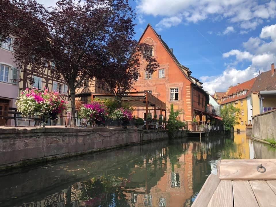 Coeur Alsace – photo 23