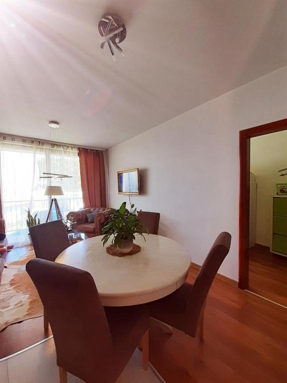 Apartmani Sport Igalo - 两居室公寓