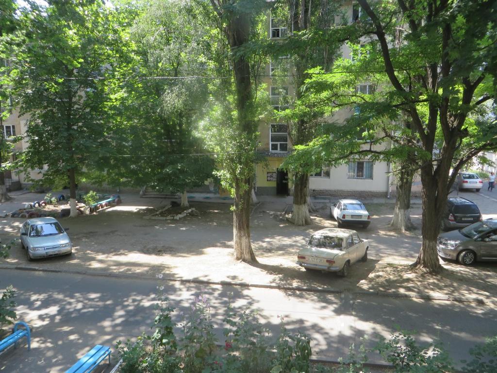 Князя Володимира Великого 105 фото 6