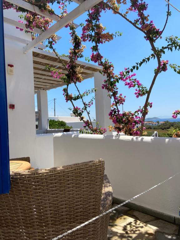 Spanos Apartments, ayios Petros – Updated 2022 Prices