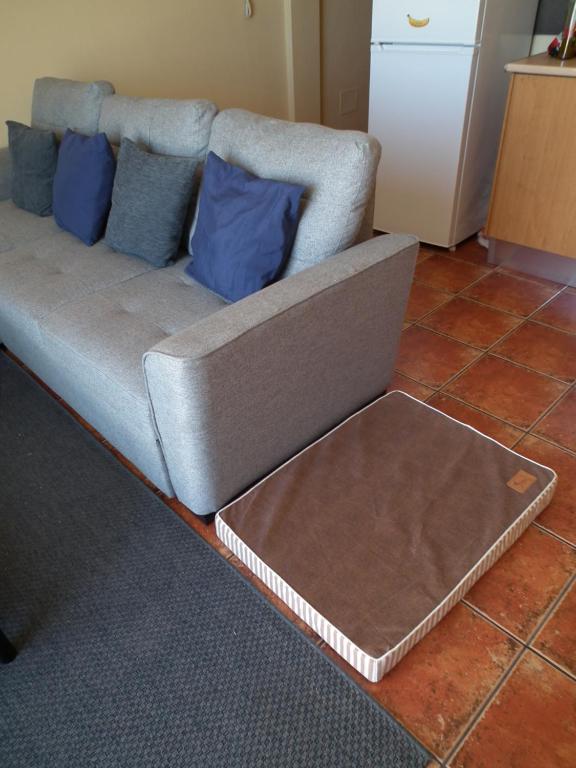 A seating area at Frodo Haus