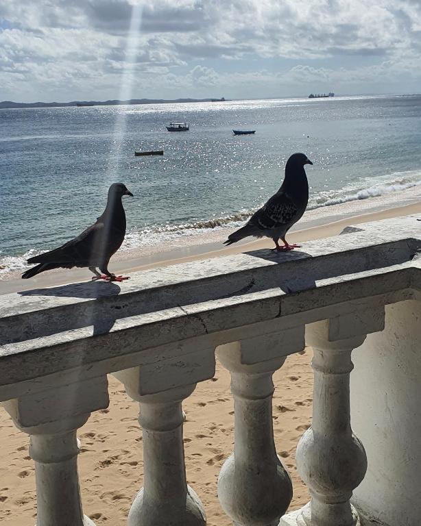  Encantos do Porto da Barra