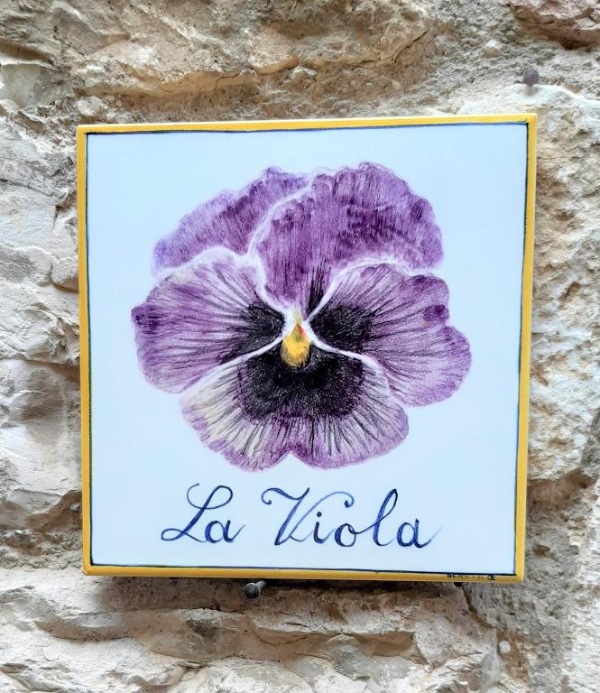 Fotografie z fotogalerie ubytování La Viola di Assisi v destinaci Assisi