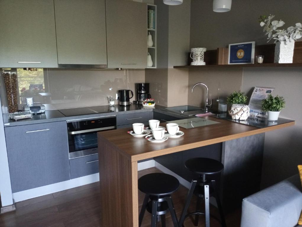 Kuchyňa alebo kuchynka v ubytovaní Apartament z widokiem na morze