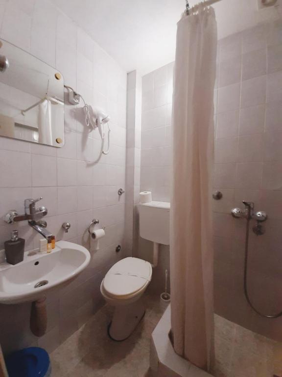 un bagno con wc, lavandino e doccia di Guest House Colovic a Zlatibor