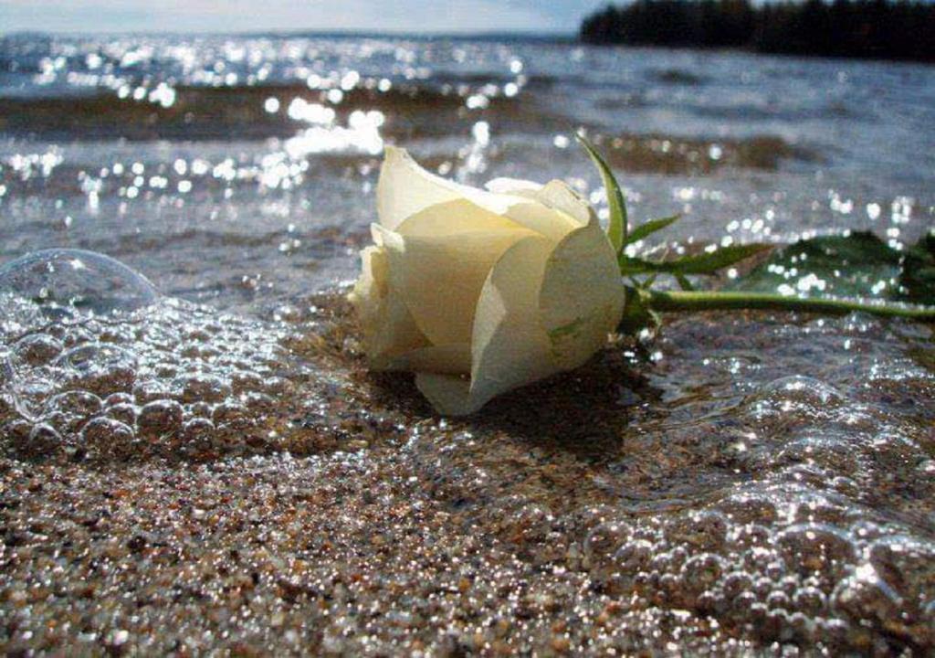  Apartamento Praia Grande- SP Vila Tupi