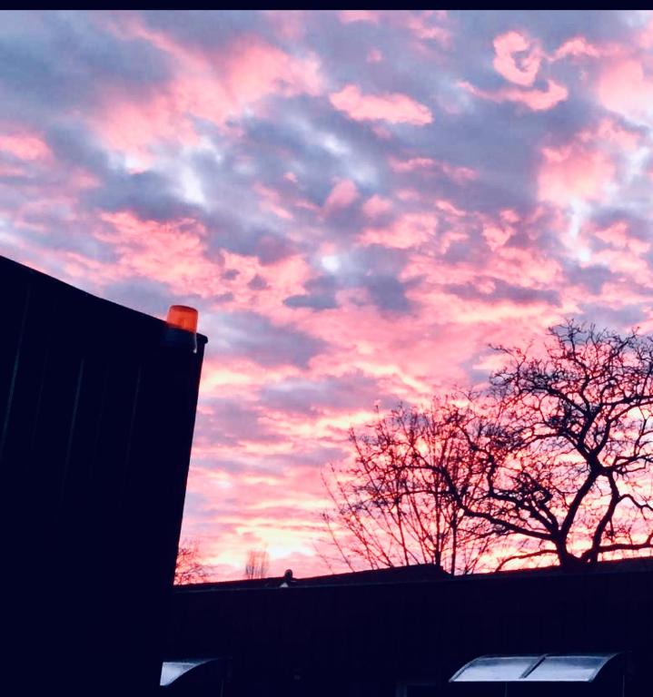 Motel Home Berlin - Resim 14