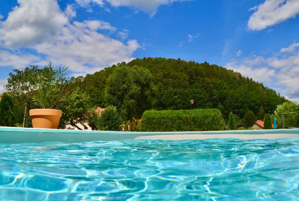 a swimming pool with a mountain in the background at Le Gîte de l'Ecureuil in Sturzelbronn