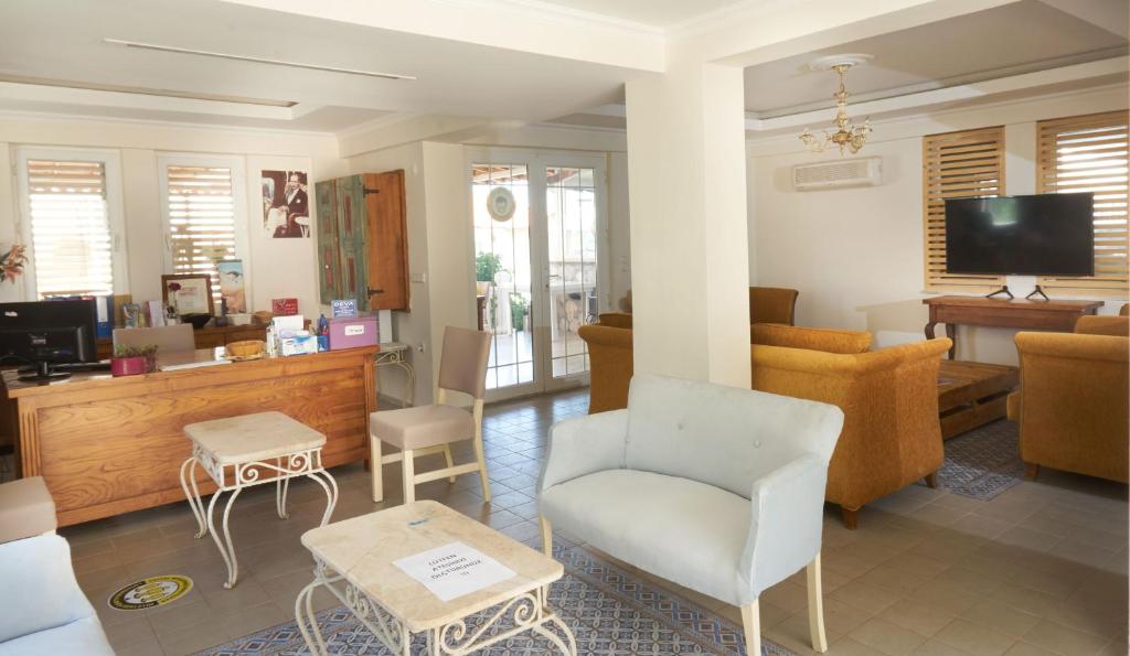 TV a/nebo společenská místnost v ubytování Larimar Suite Hotel