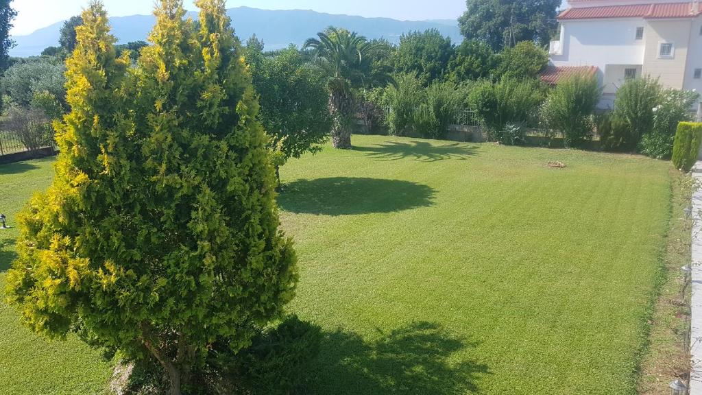 a large lawn with a tree in the middle at Silver Villa Raches, Sky in Kouvéla