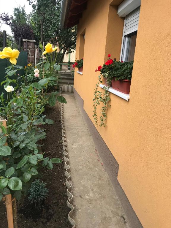Vonkajšia záhrada v ubytovaní Dália apartman Gyömrő