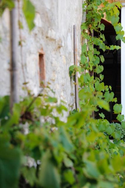 A garden outside Romantic Boutique Hospitality