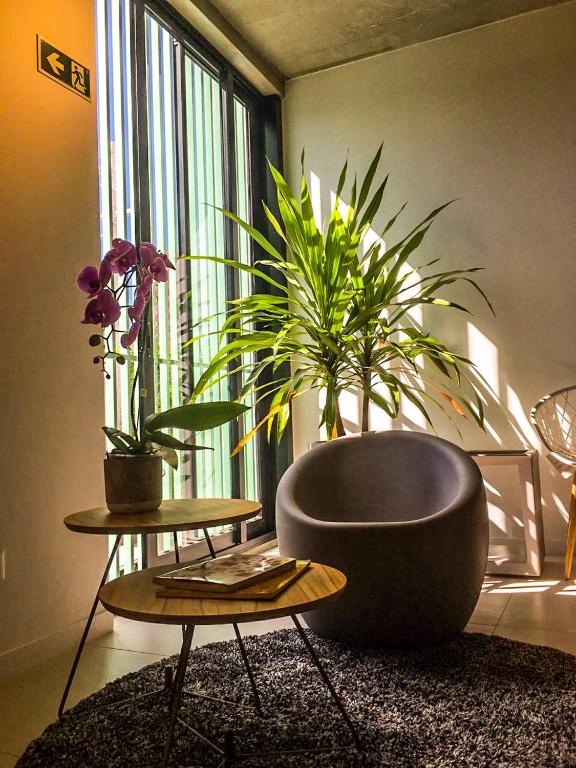  APARTMENTFORSTAY 33A - FRAGATA CENTRAl
