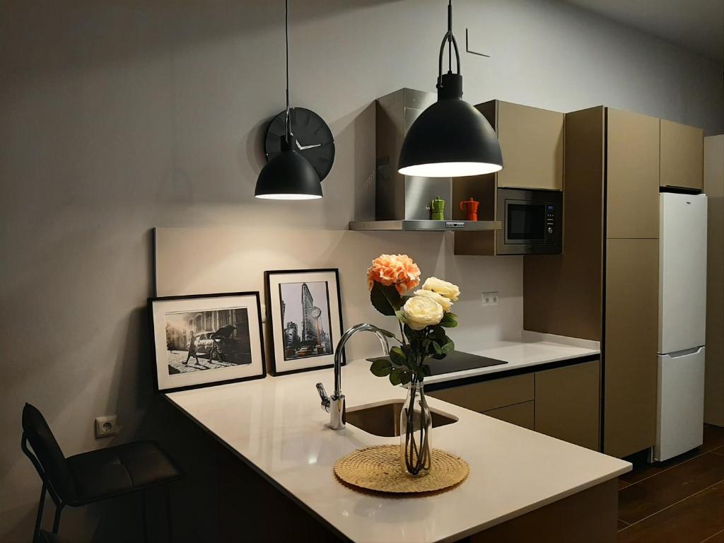 a kitchen with a counter with a vase of flowers on it at Alquiler Aptos en Santander (Centro) in Santander