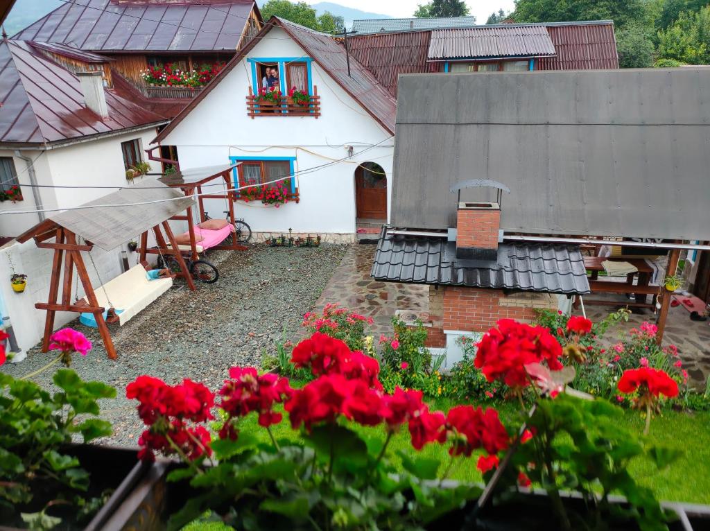 Zahrada ubytování Casa Toth din Țipțerai