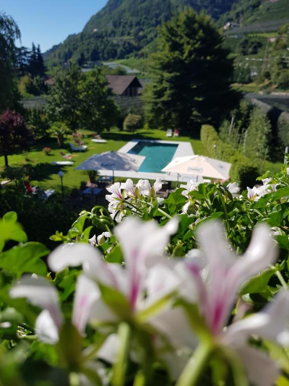 Nespecifikovaný výhled na hory nebo výhled na hory při pohledu z hotelu