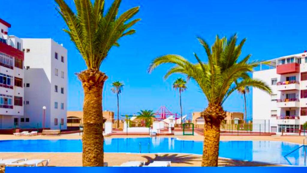 two palm trees in front of a swimming pool at SEA-VIEW APARTMENT WITH a TENNIS COURT in Adeje