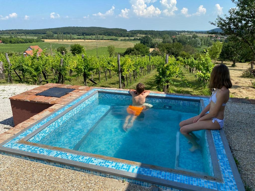 The swimming pool at or close to Pécsely apartman