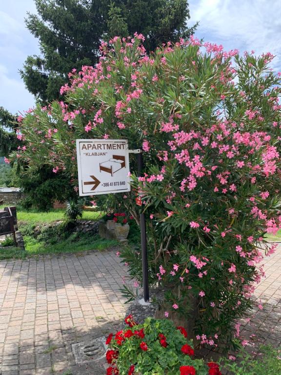 una señal frente a un árbol con flores rosas en Apartmaji Klabjan - Kaki, en Osp