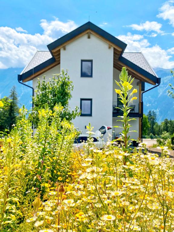 Zahrada ubytování Seelos - Alpine Easy Flats