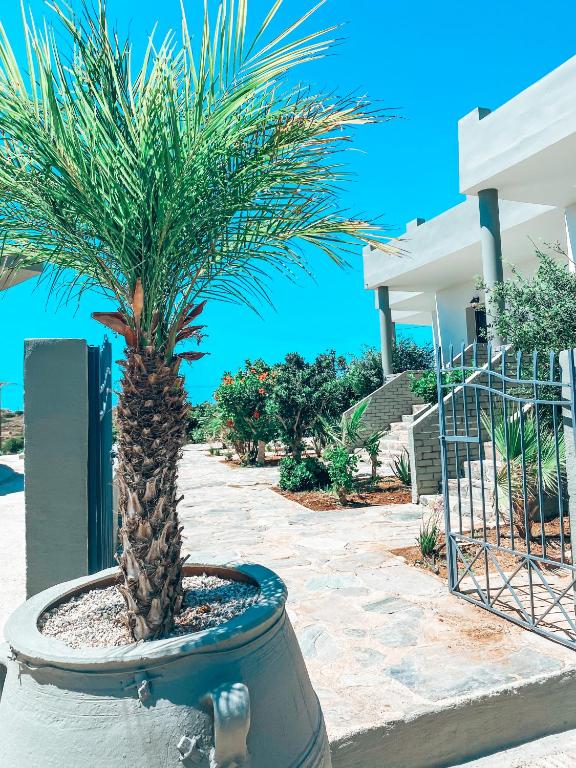 Fotografie z fotogalerie ubytování Elafonisi Rooms For Rent v destinaci Elafonisi