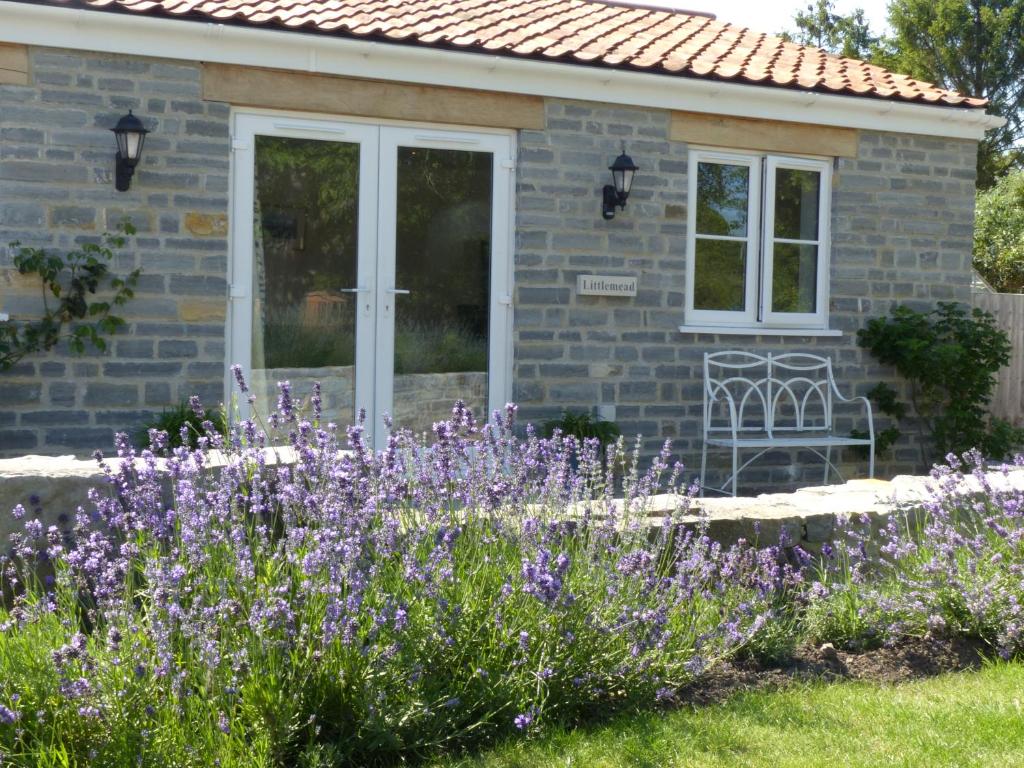格拉斯頓伯里的住宿－Littlemead - Newly renovated private studio near Glastonbury，一座花园,在房子前面种有紫色的花朵