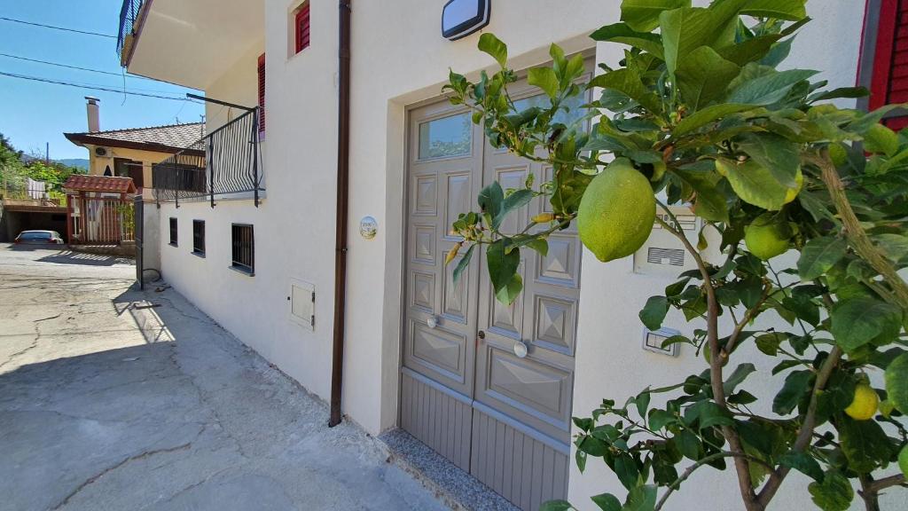 Olimpo degli Dei - 7