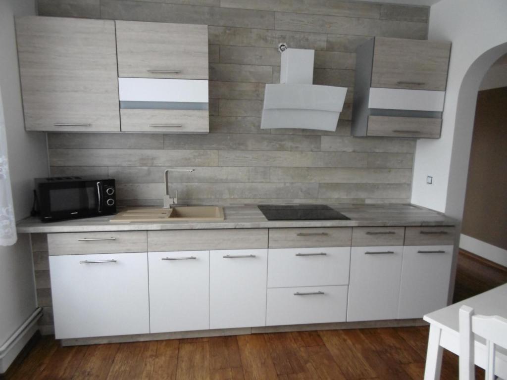 Kuchyň nebo kuchyňský kout v ubytování Apartmány Rosijo