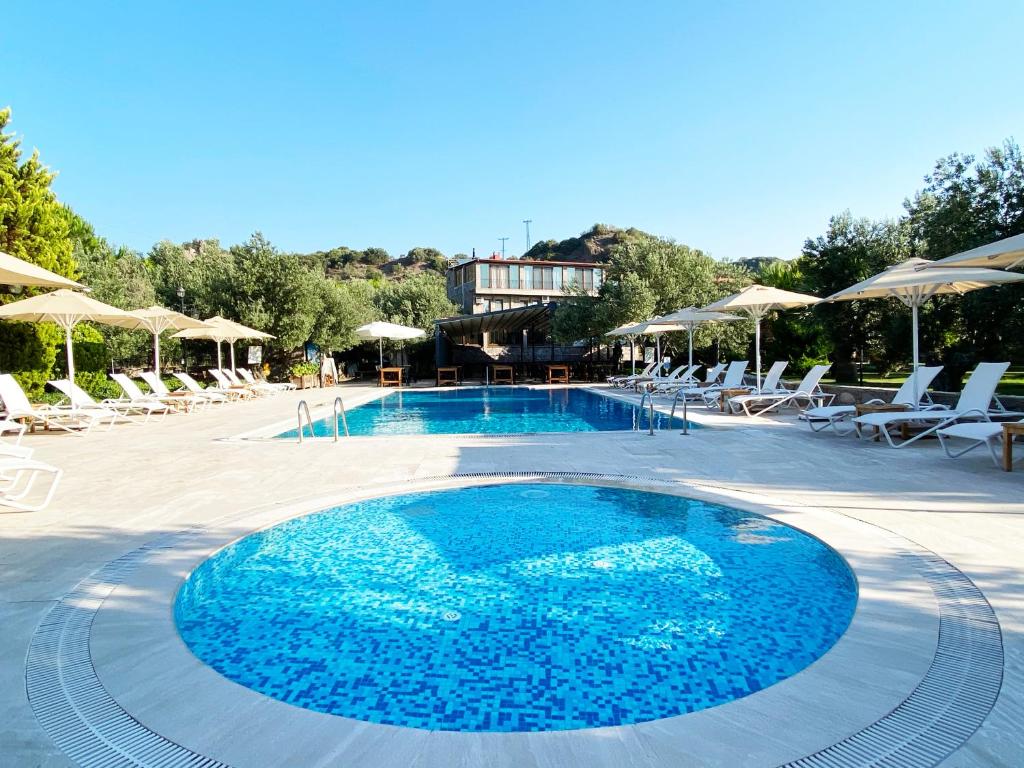 uma grande piscina com cadeiras e guarda-sóis em Assos Park Hotel em Behramkale
