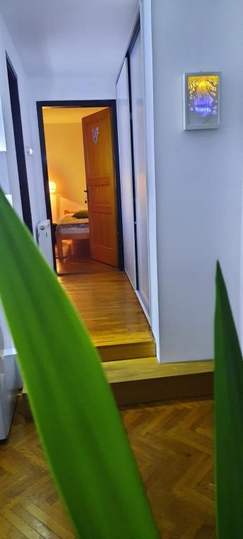 Fotografie z fotogalerie ubytování Apartman Domacinstvo La ViE na selu v destinaci Niška Banja