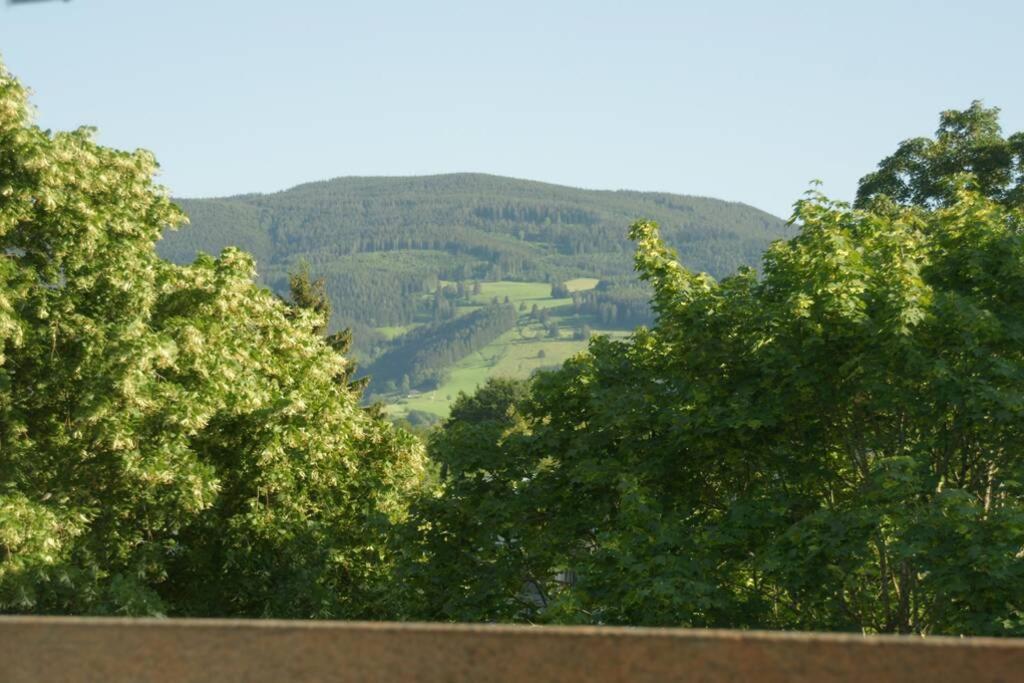a group of trees with a valley in the background at Ferienwohnung Rappeneck-Blick nur für Urlauber in Kirchzarten