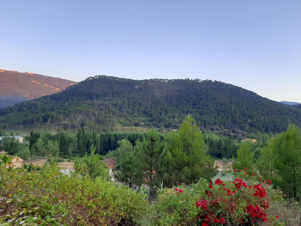 Derechos de imagen reservados por Booking.com