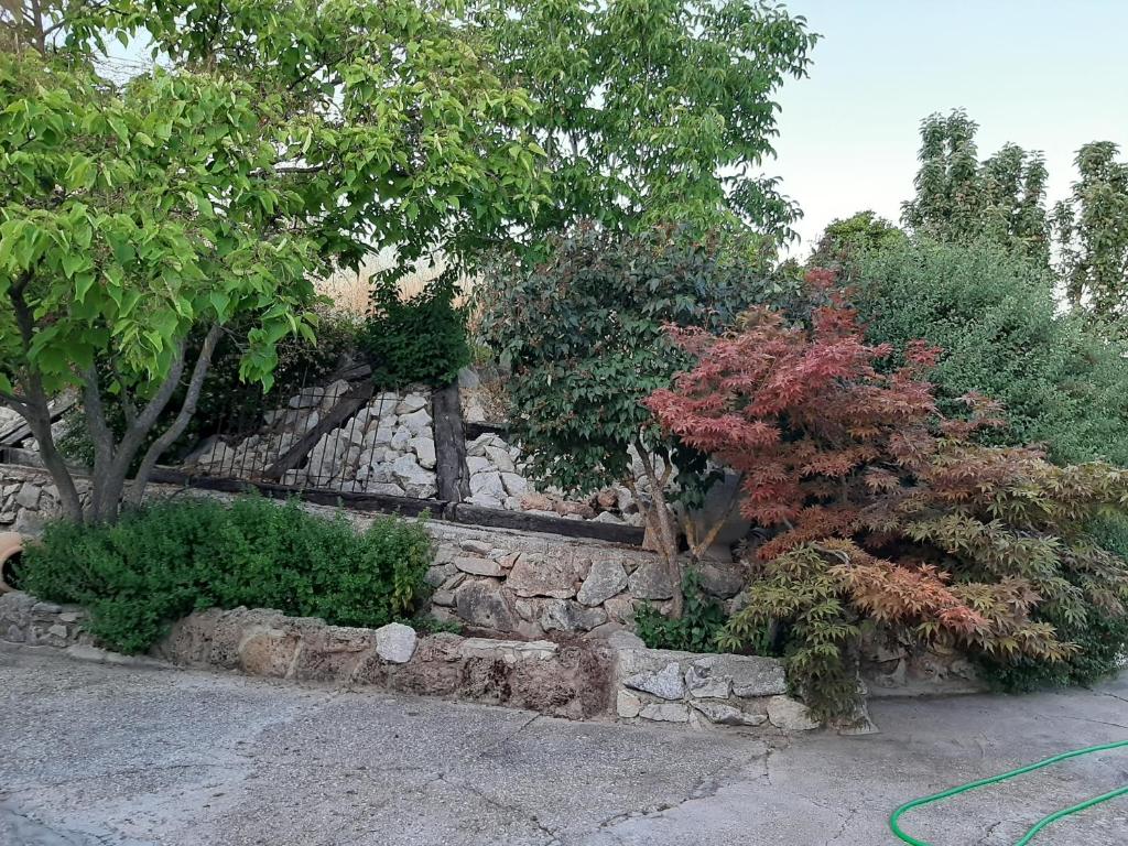 Zahrada ubytování Cibanto de las Maravillas