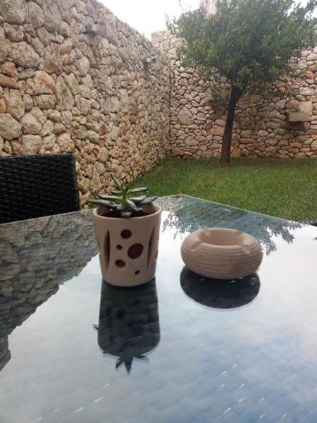 Zahrada ubytování B&B Donnantonietta - Nobile dimora