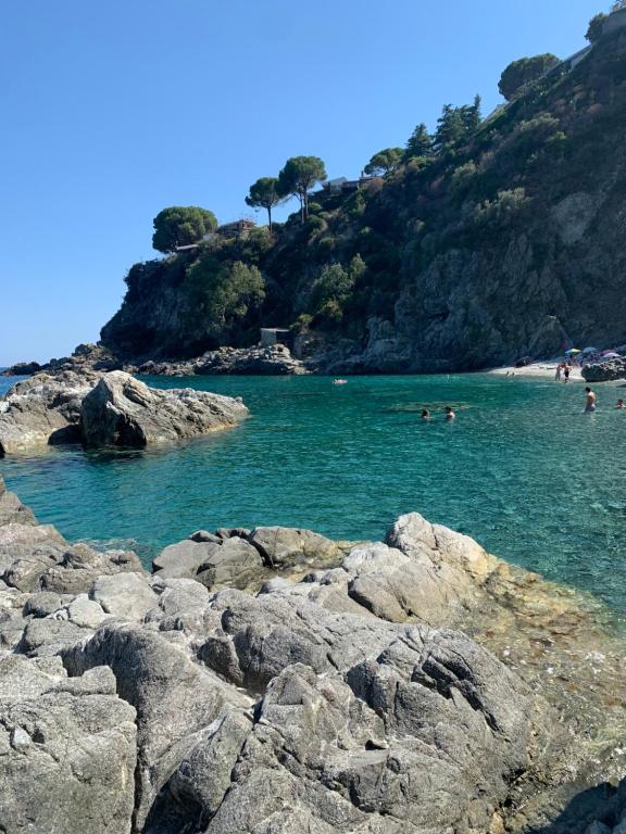 a group of people swimming in the water at a beach at Appartamento Affaccio sul mare, Baia di Copanello in Copanello