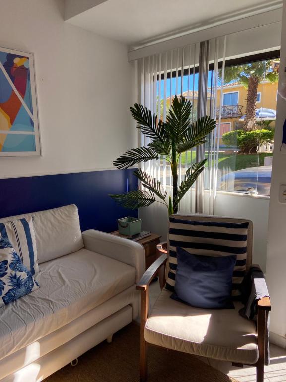 sala de estar con sofá y palmera en Casa Super Charmosa em Condomínio na Praia, en Búzios