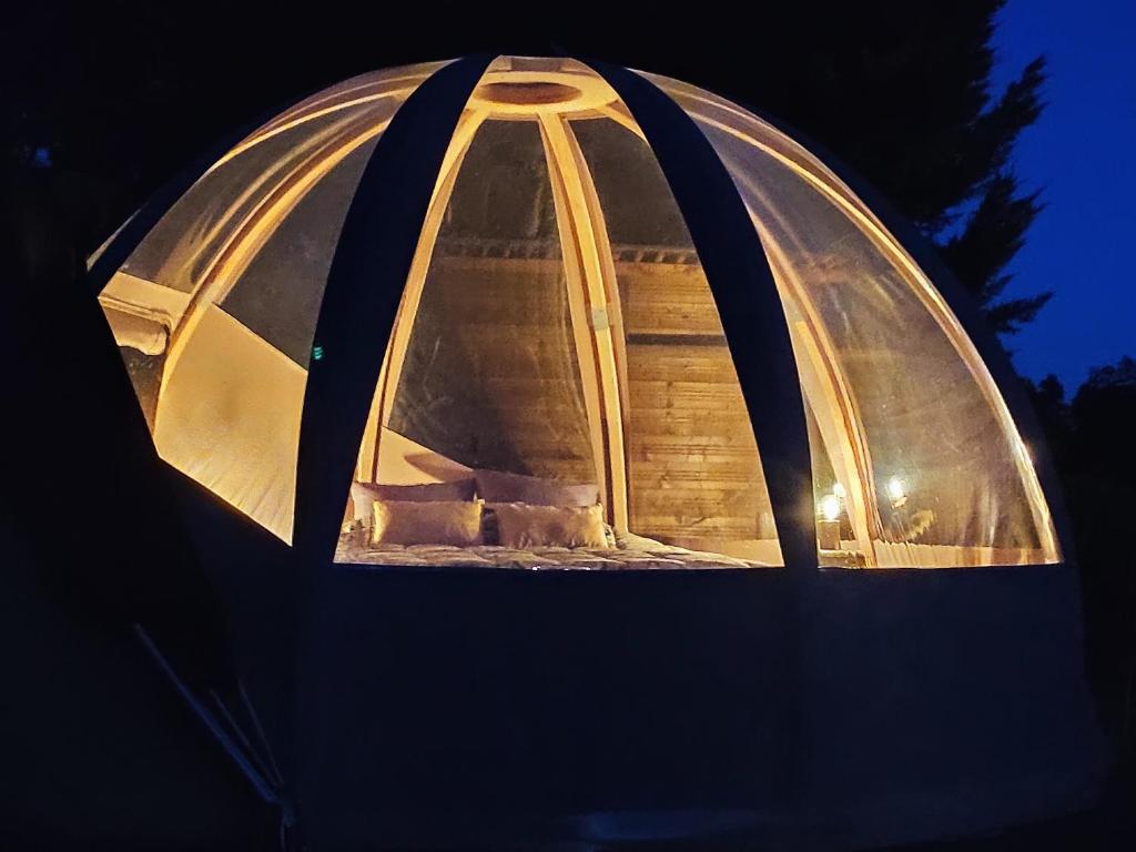 dos gatos en una tienda de campaña por la noche en Le Wigwam du Fassac en Saint-Julien-du-Puy