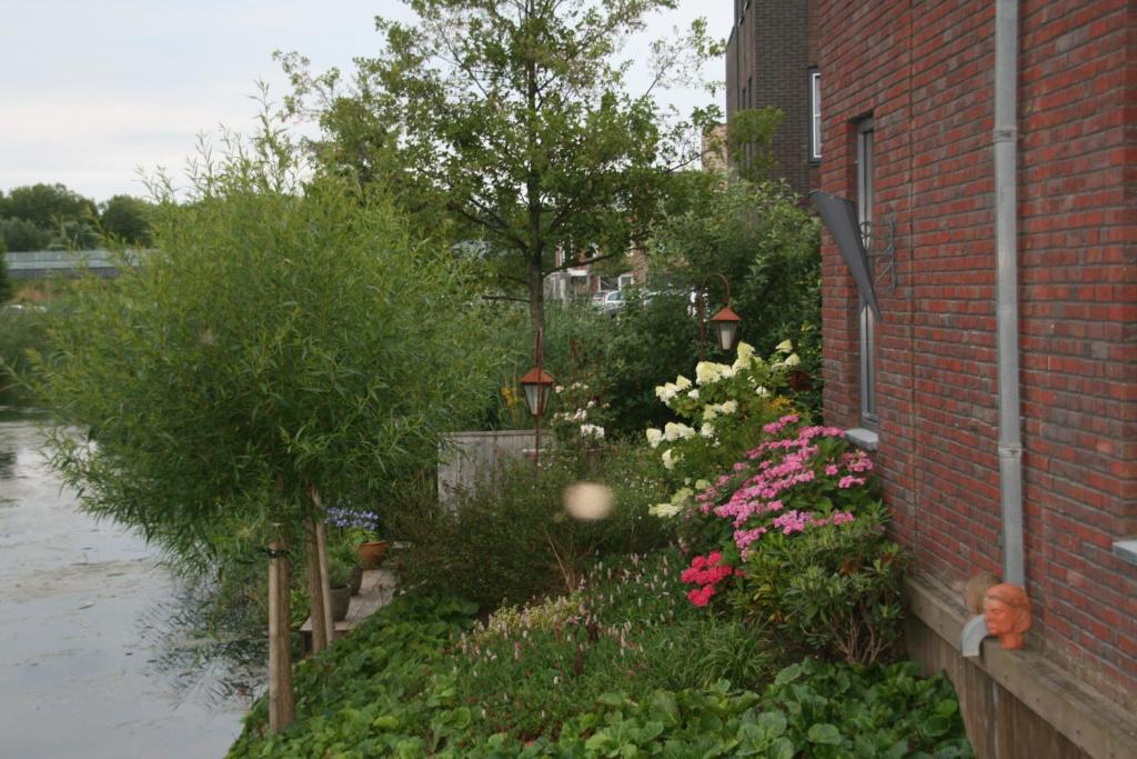 Zahrada ubytování B&B Het kasteel