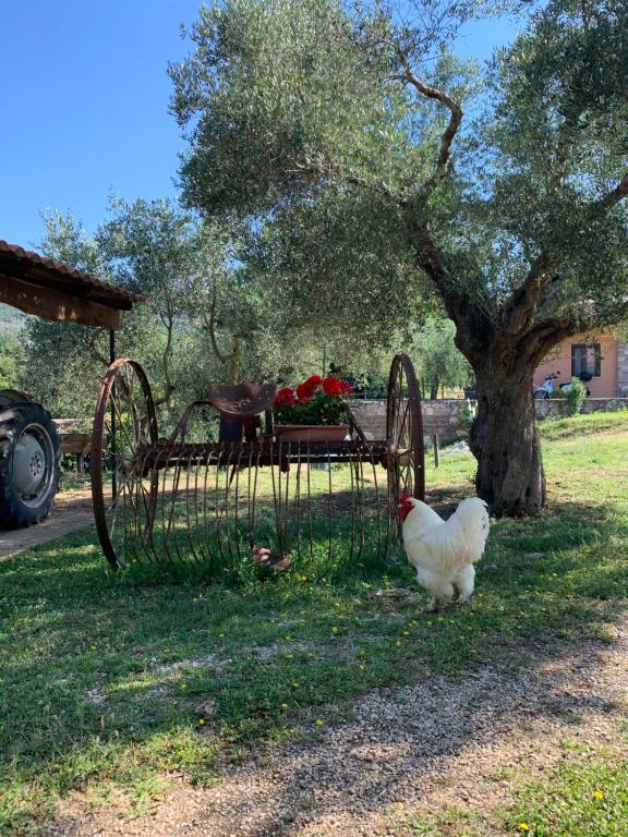 Agriturismo Panta Rei Santʼoreste Updated 2021 Prices