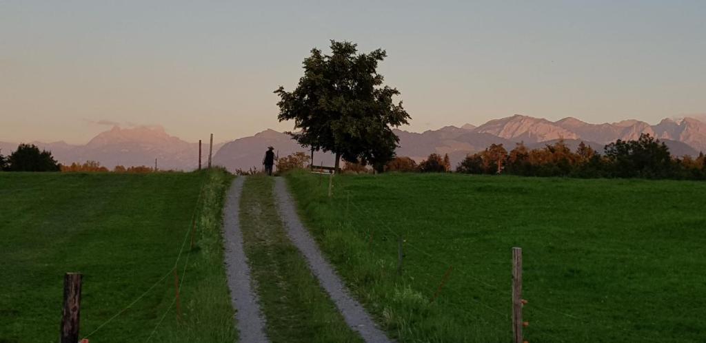 a person walking down a dirt road in a field at like home in Rüti