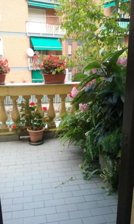 Zahrada ubytování Sabini Rentals - Affittacamere