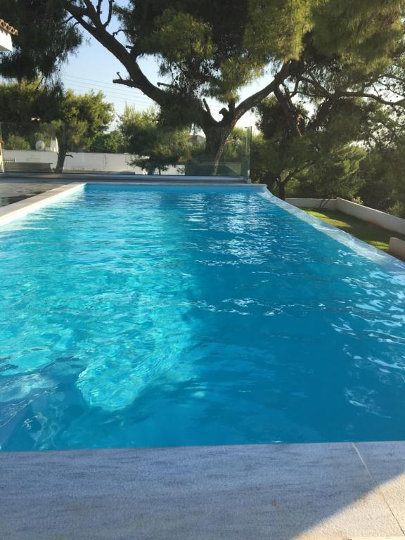 una piscina azul con árboles en el fondo en Villa tranquility, en Lagonisi