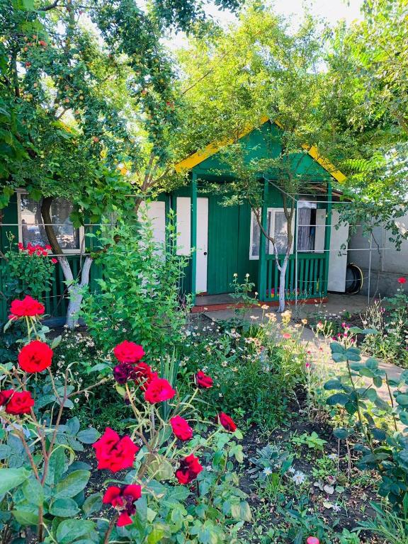 a garden with red flowers in front of a green house at Novaya Dacha in Kurortne
