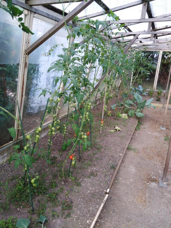 Pension Lukas - Resim 33