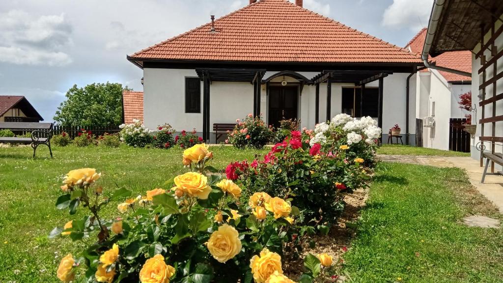 Zahrada ubytování POČITNIŠKA HIŠA KOG