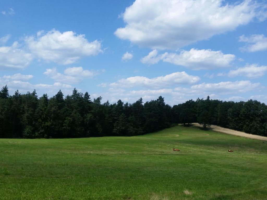 Příroda nedaleko ubytování v soukromí